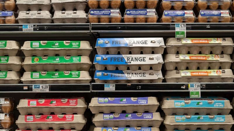 Egg Oversupply Crushes Producer Margins as Input Costs Surge in 2026